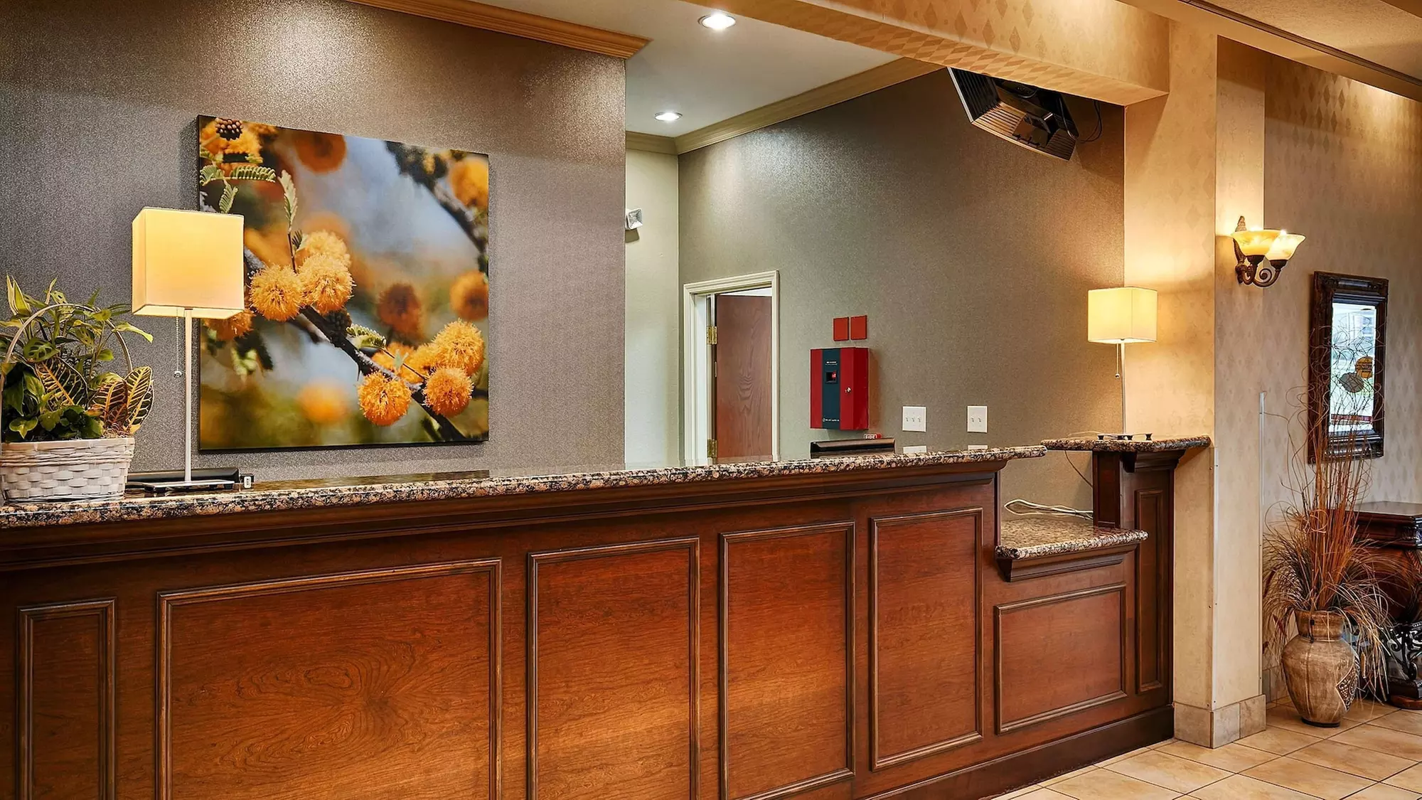 Comfort Inn & Suites - Primary Image