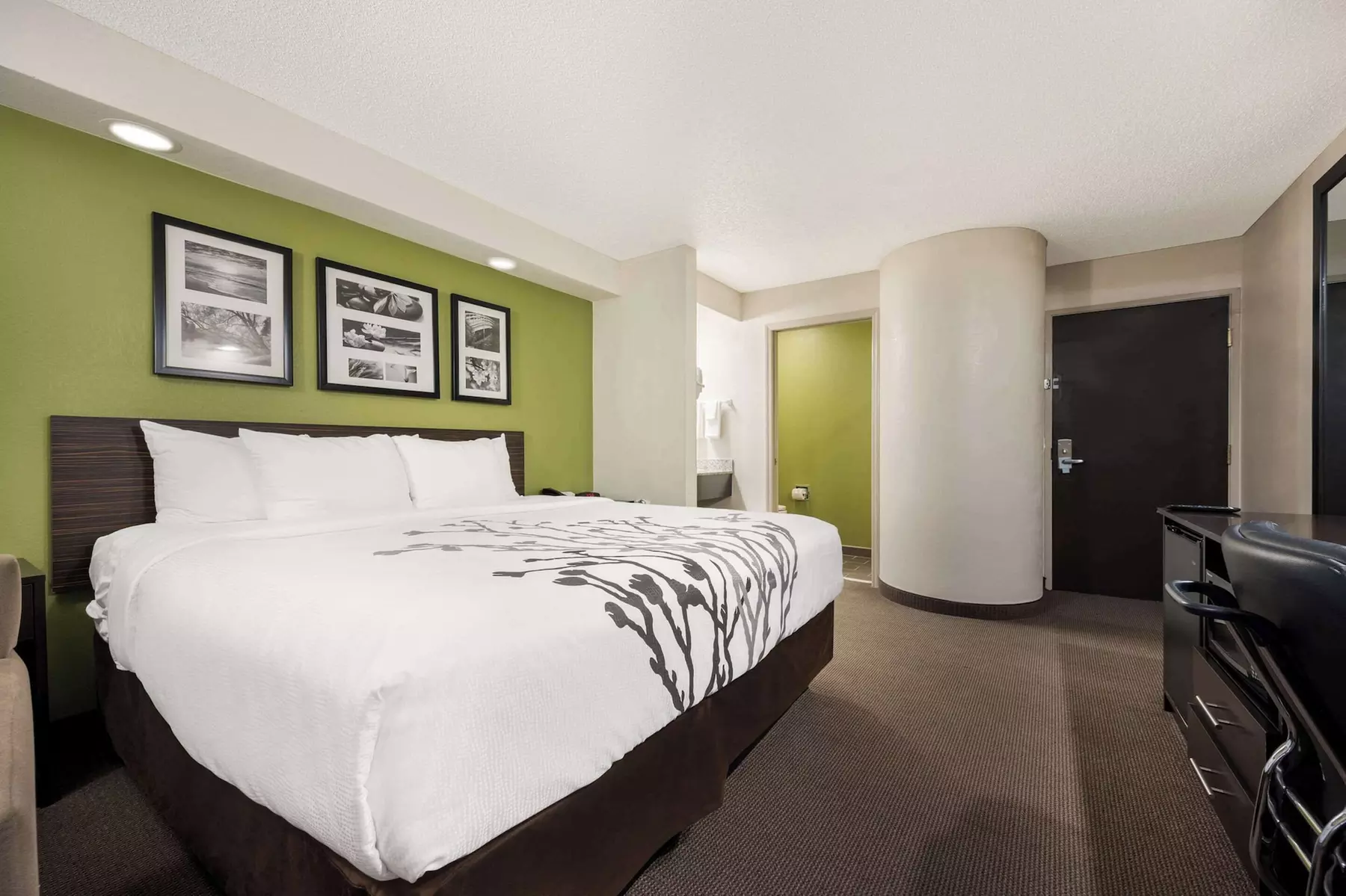 Sleep Inn Athens I-65 - Primary Image