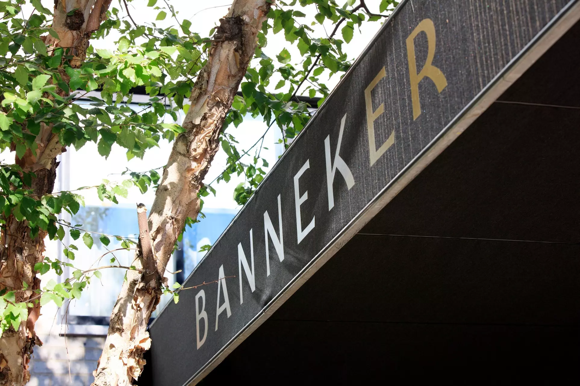 Kimpton Banneker Hotel by IHG - Primary Image