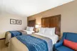 Comfort Inn Concord - Second Medium