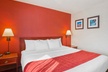 Comfort Inn & Suites University - Second Medium