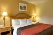 Quality Inn & Suites Malvern - Second Medium