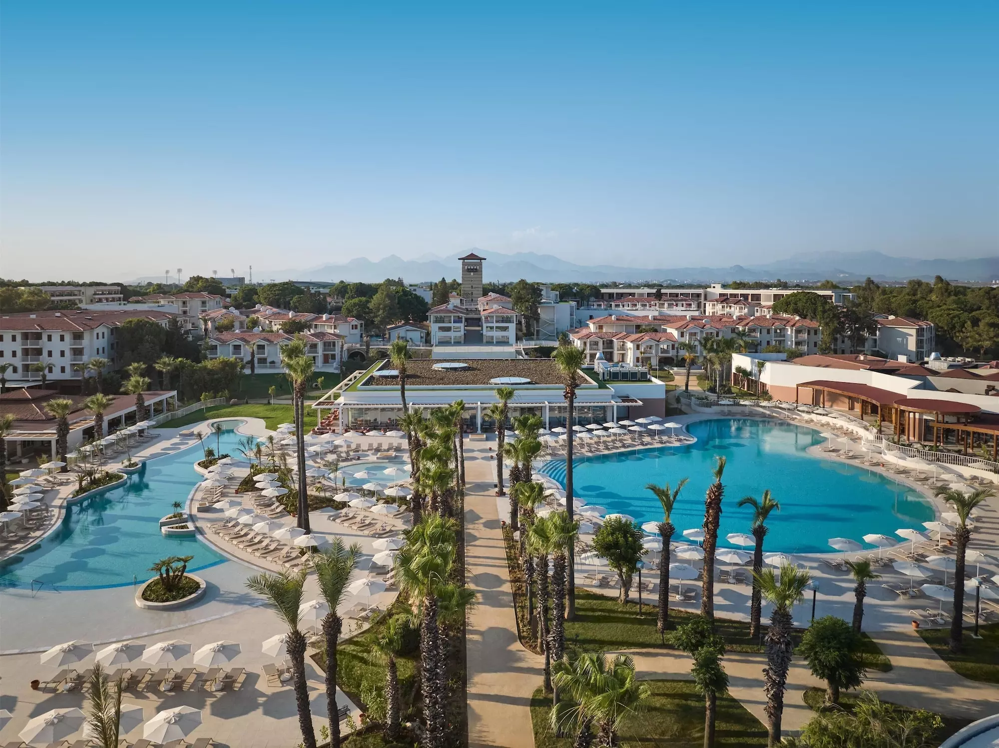 Paloma Grida - All Inclusive - Primary Image