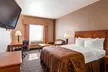 Best Western Rambler - Second Medium