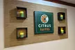 Citrus Suites Redlands Loma Linda Hotel - Second Medium
