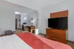 Comfort Suites La Porte - Baytown - Second Medium