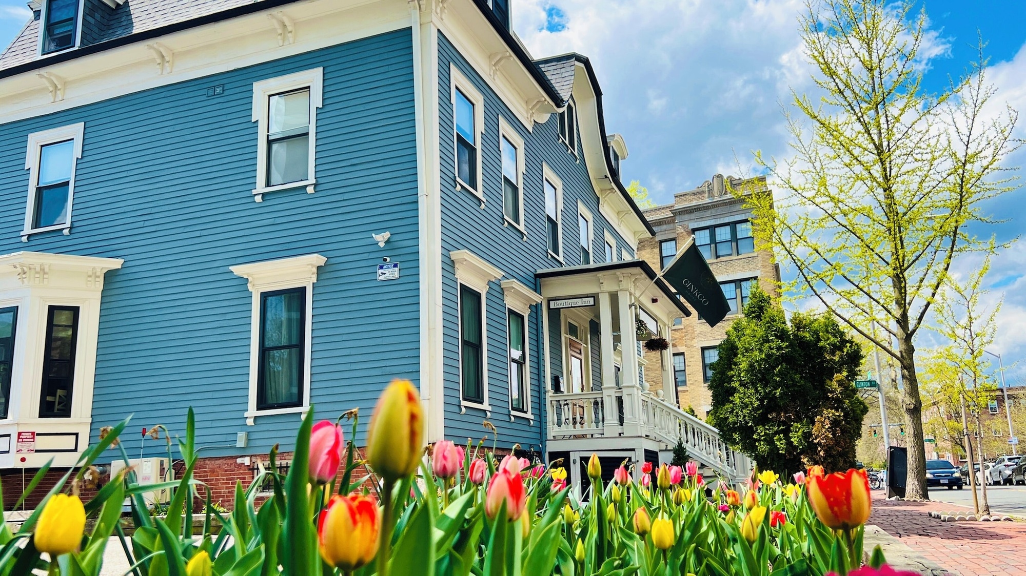 Ginkgo House on Harvard