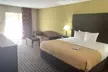 Quality Inn & Suites Pensacola Bayview - Second Medium