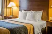 Quality Inn & Suites - Second Medium
