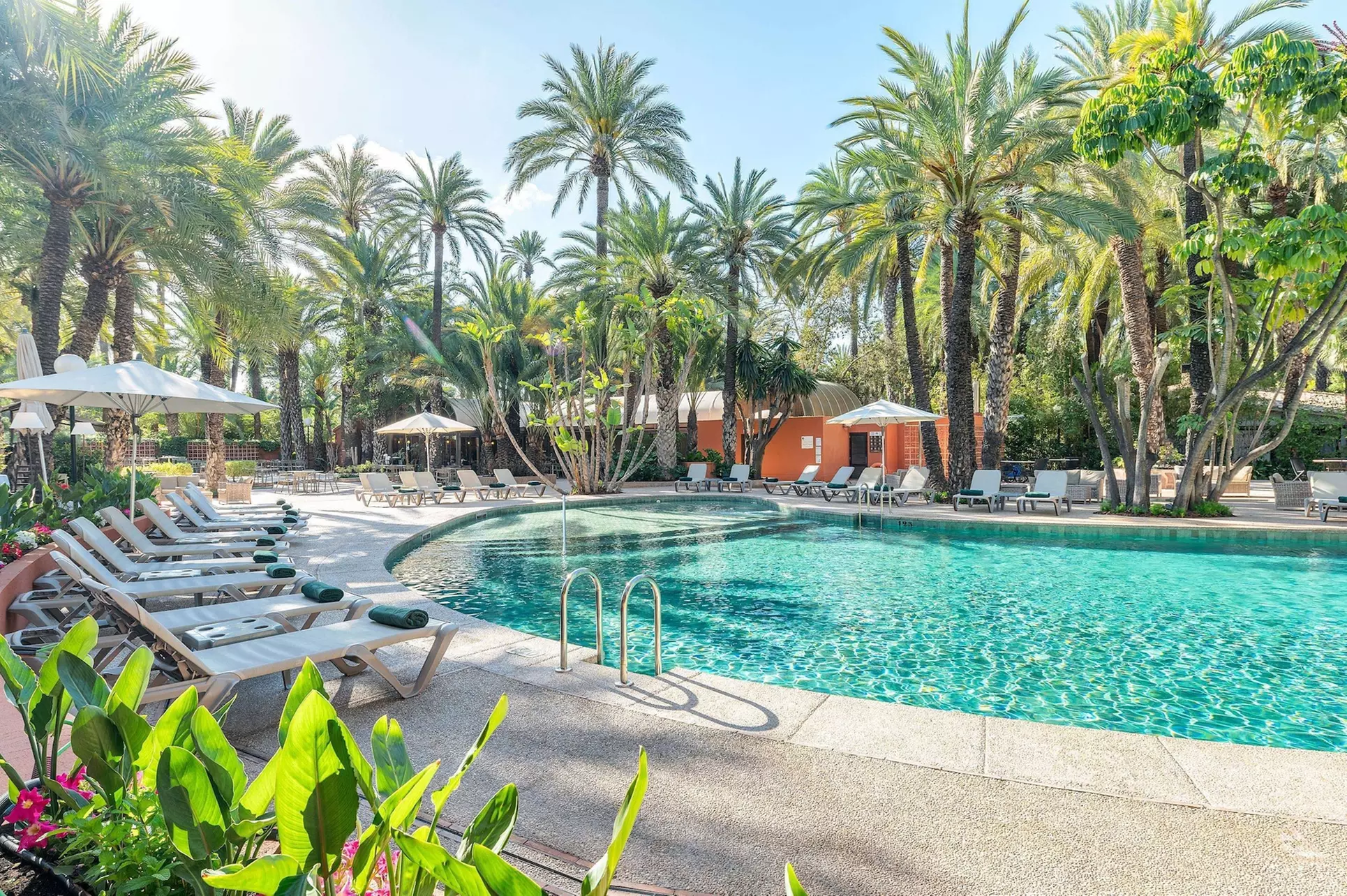 Huerto Del Cura Hotel - Primary Image