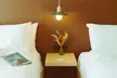 Hotel Lucine - Second Medium