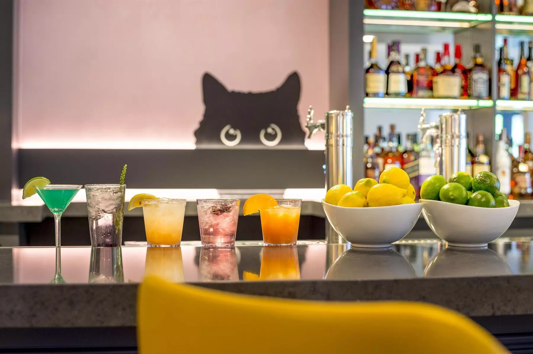 Warwick Denver - Primary Image