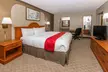 Ramada by Wyndham Odessa Near University of Texas Permian - Second Medium