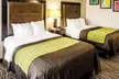 Comfort Inn Downtown Charleston - Second Medium