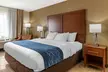 Comfort Inn & Suites Texas Hill Country - Second Medium