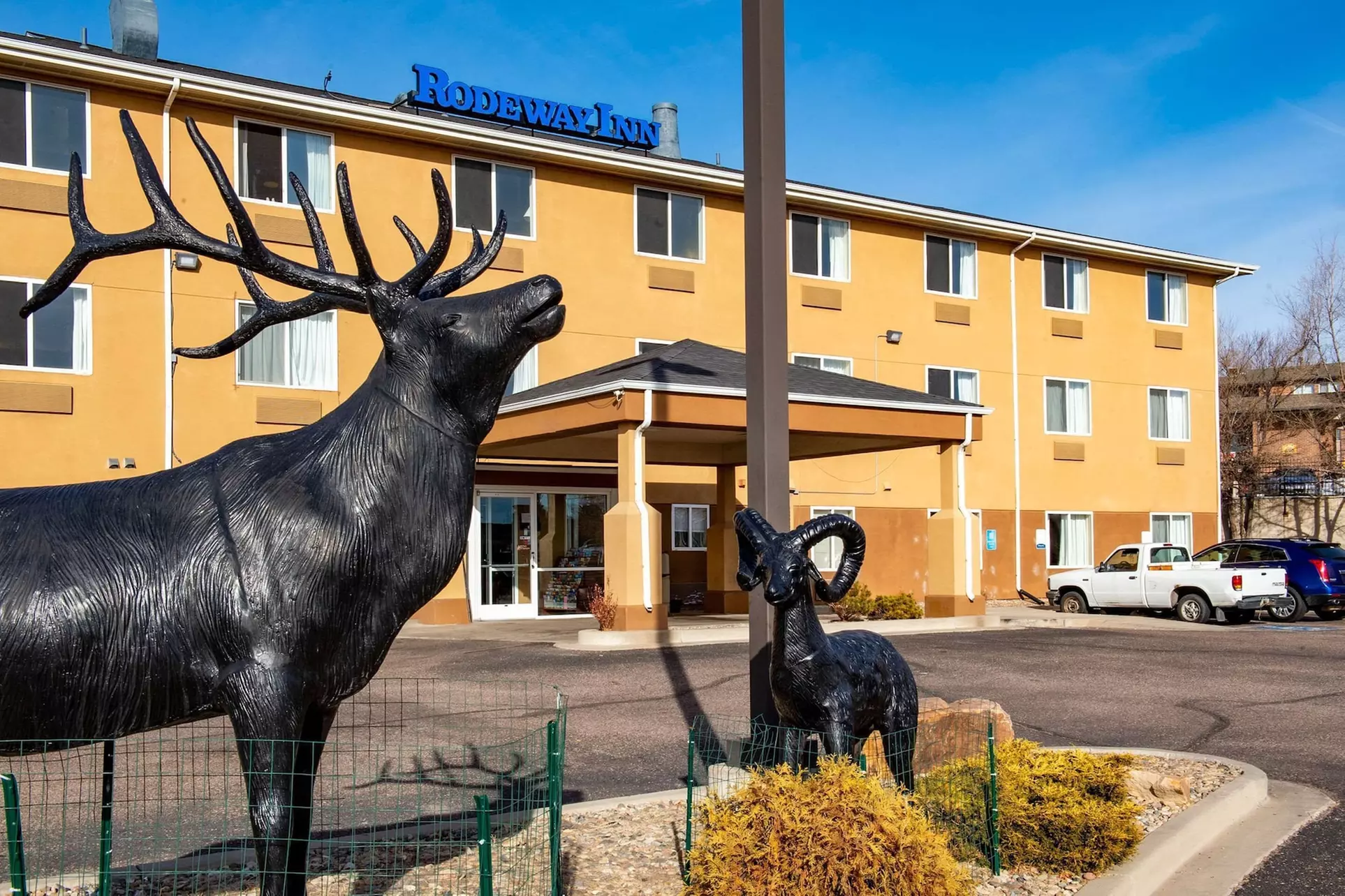 Rodeway Inn Central Colorado Springs - Primary Image