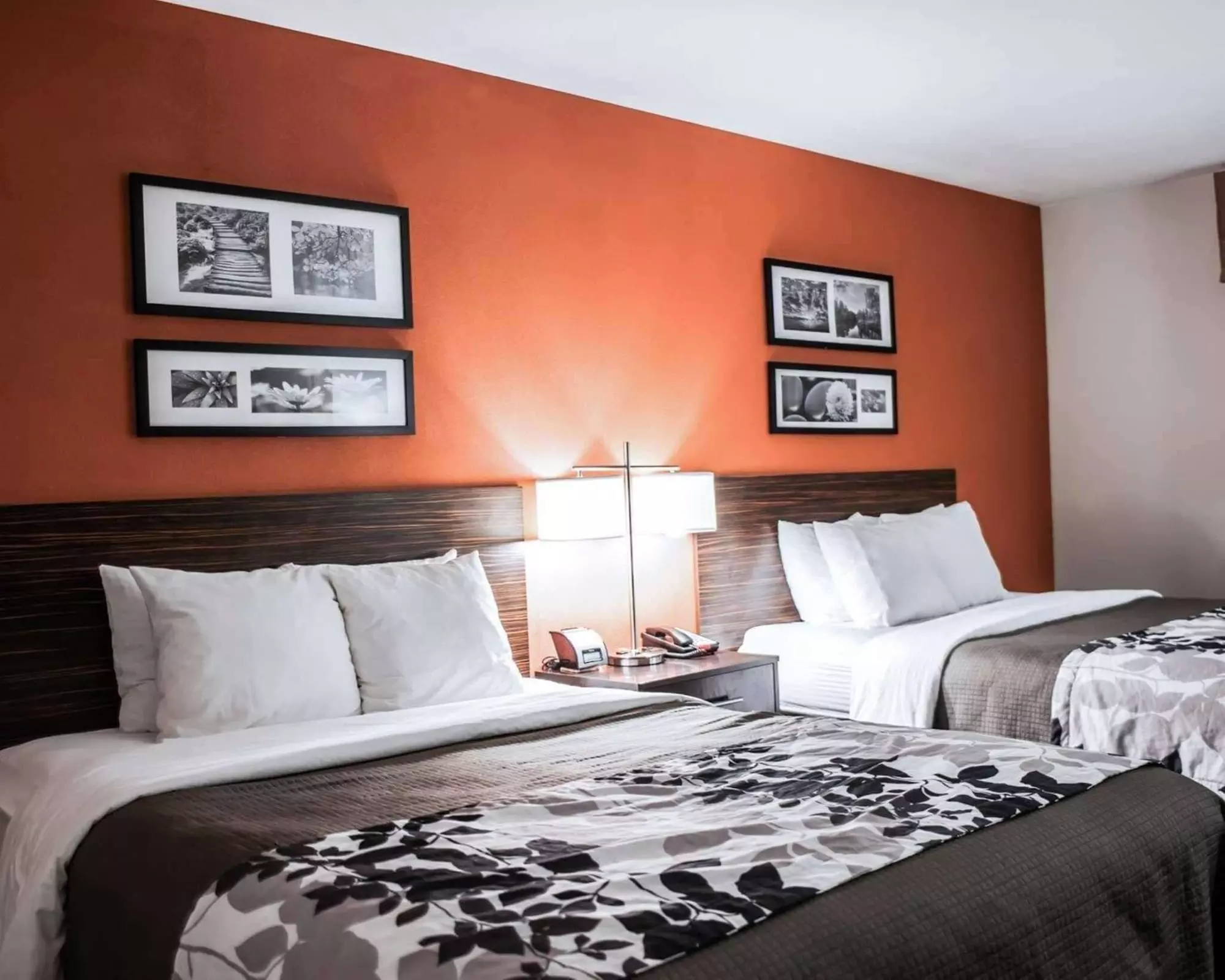 Sleep Inn & Suites Fort Campbell - Primary Image
