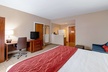 Comfort Inn and Suites Fredericksburg - Second Medium