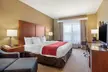 Comfort Inn and Suites Pittsburg - Second Medium