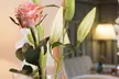 Maritim Hotel Magdeburg - Second Medium