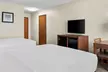 Comfort Inn and Suites Taylor - Second Medium