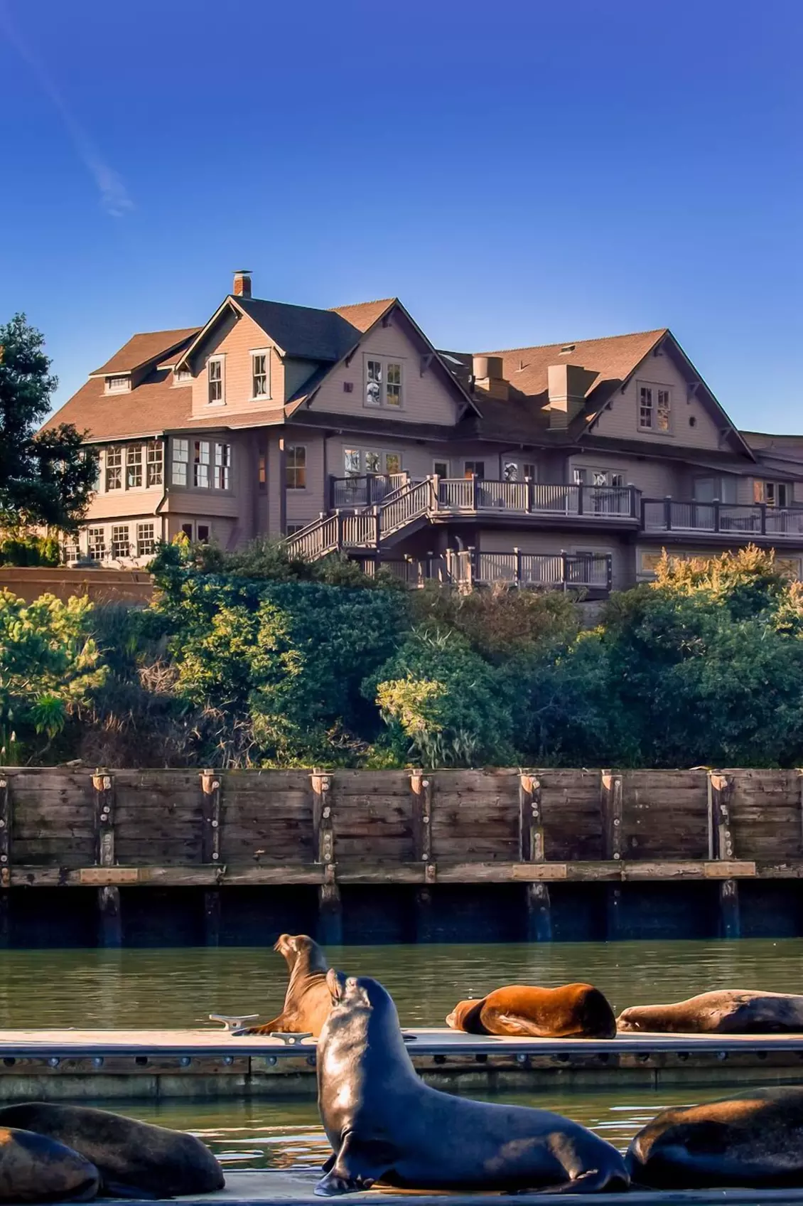 Noyo Harbor Inn Restaurant and Tavern - Primary Image