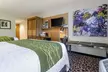 Comfort Inn Raleigh Midtown - Second Medium