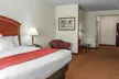 Comfort Suites near Indianapolis Airport - Second Medium