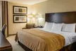 Comfort Inn Bloomington near University - Second Medium