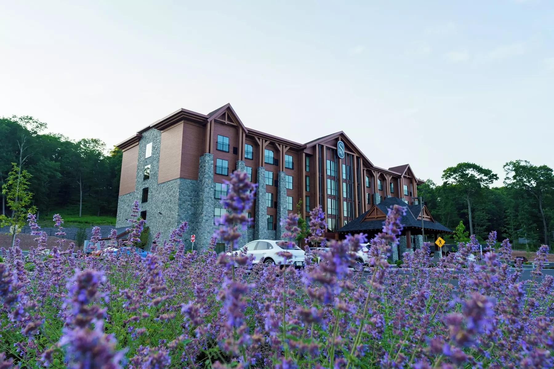 The Swiftwater - Primary Image