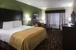Comfort Inn & Suites - Second Medium