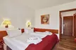 Mercure Bad Duerkheim an den Salinen - Second Medium