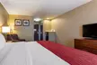 Comfort Inn & Suites Russellville I-40 - Second Medium