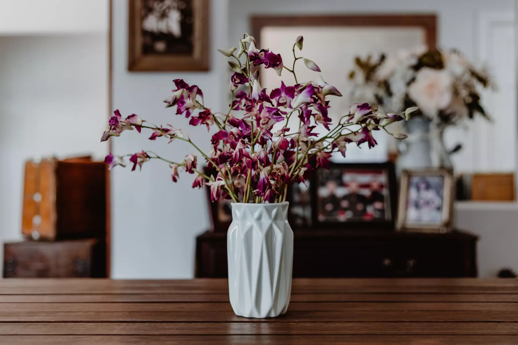 Square Inn - Primary Image