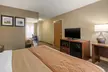 Comfort Inn Walcott near Davenport - Second Medium