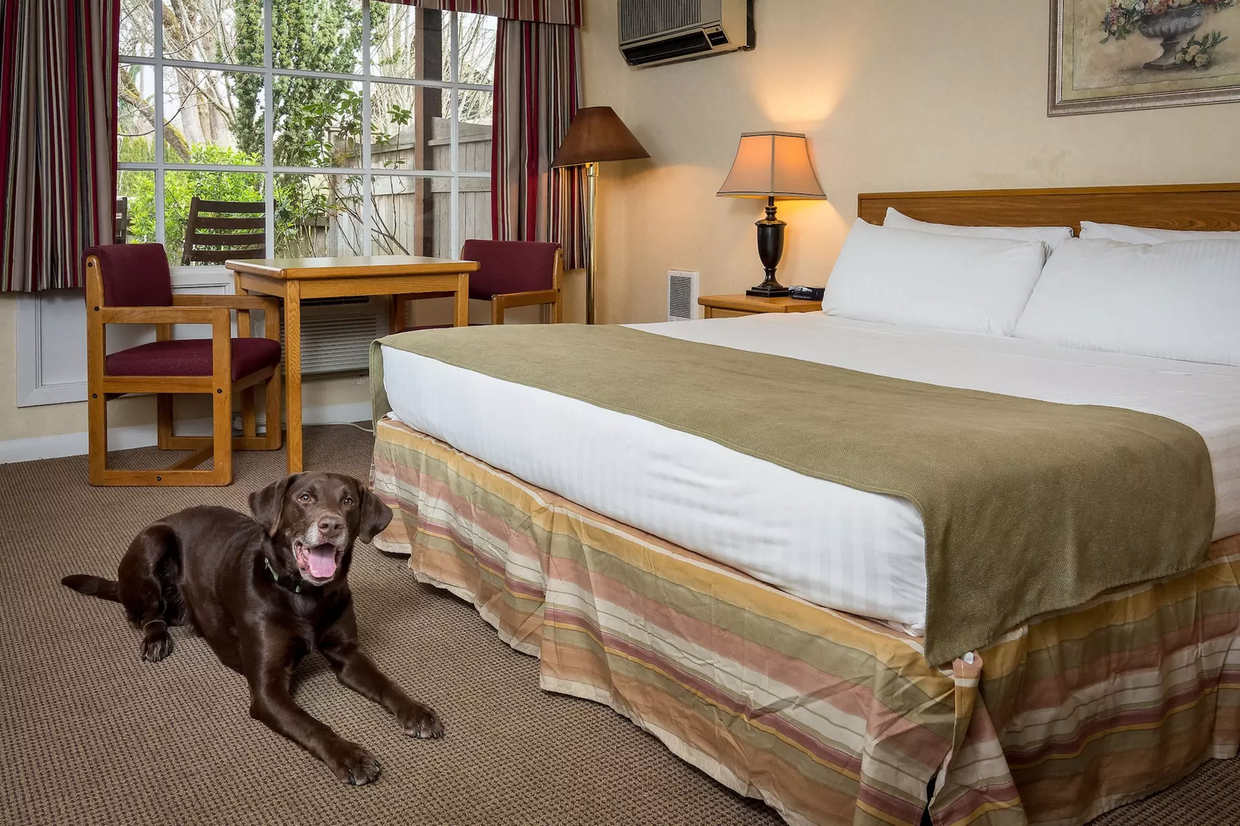 The Village Green - Primary Image