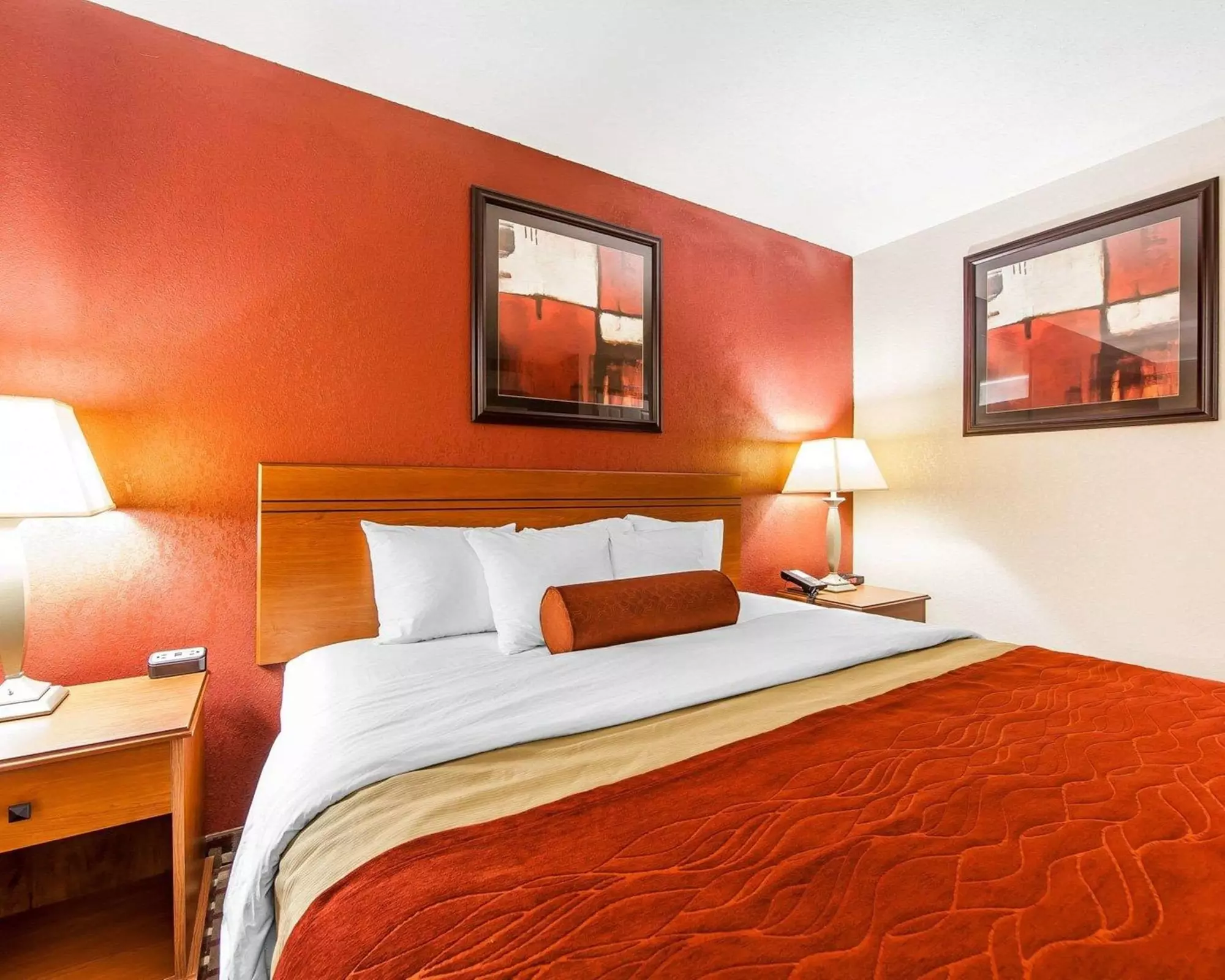 Quality Inn - Primary Image