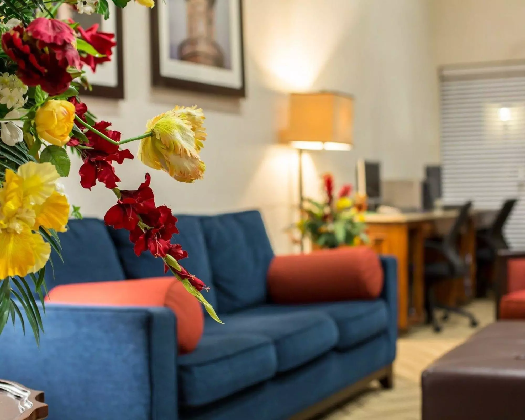 Comfort Suites Cumming-Atlanta near Northside Hospital Forsyth - Primary Image