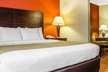 Comfort Inn & Suites - Second Medium