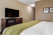 Comfort Inn & Suites Scott-West Lafayette - Second Medium
