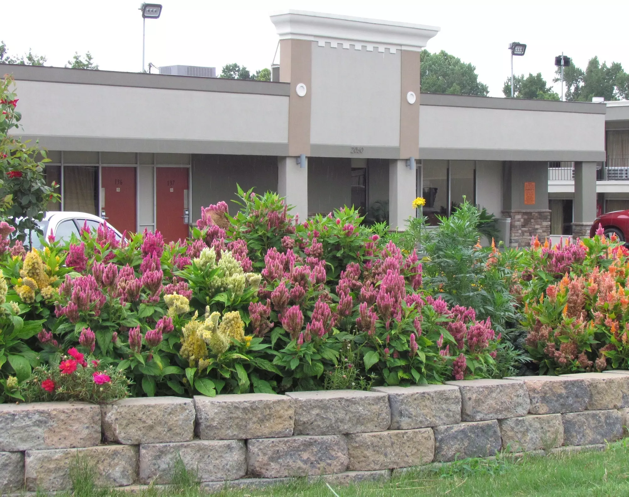 Red Carpet Inn - Primary Image