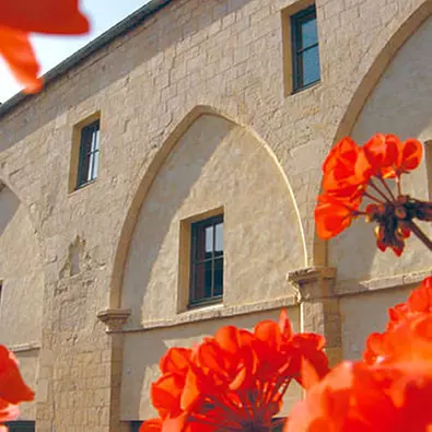 BEST WESTERN HOTEL LE DAUPHIN - Primary Image