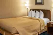 Quality Inn & Suites - Second Medium