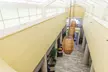 Hampton Inn Virginia Beach-Oceanfront North - Second Medium