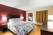Red Roof Inn & Suites Monee - Second Medium