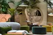 Hotel Monaco & Grand Canal - Second Medium