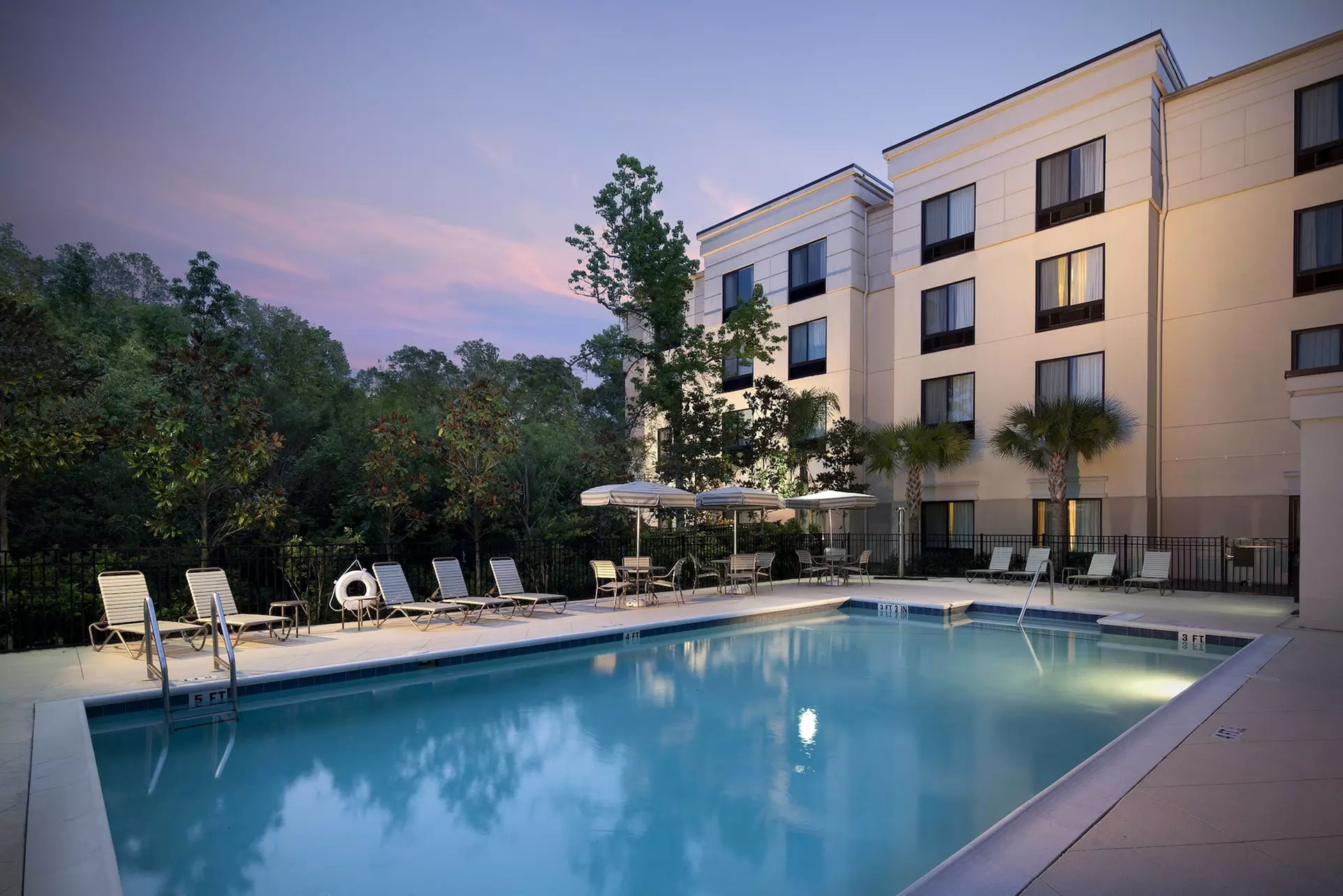 SpringHill Suites by Marriott Gainesville - Primary Image