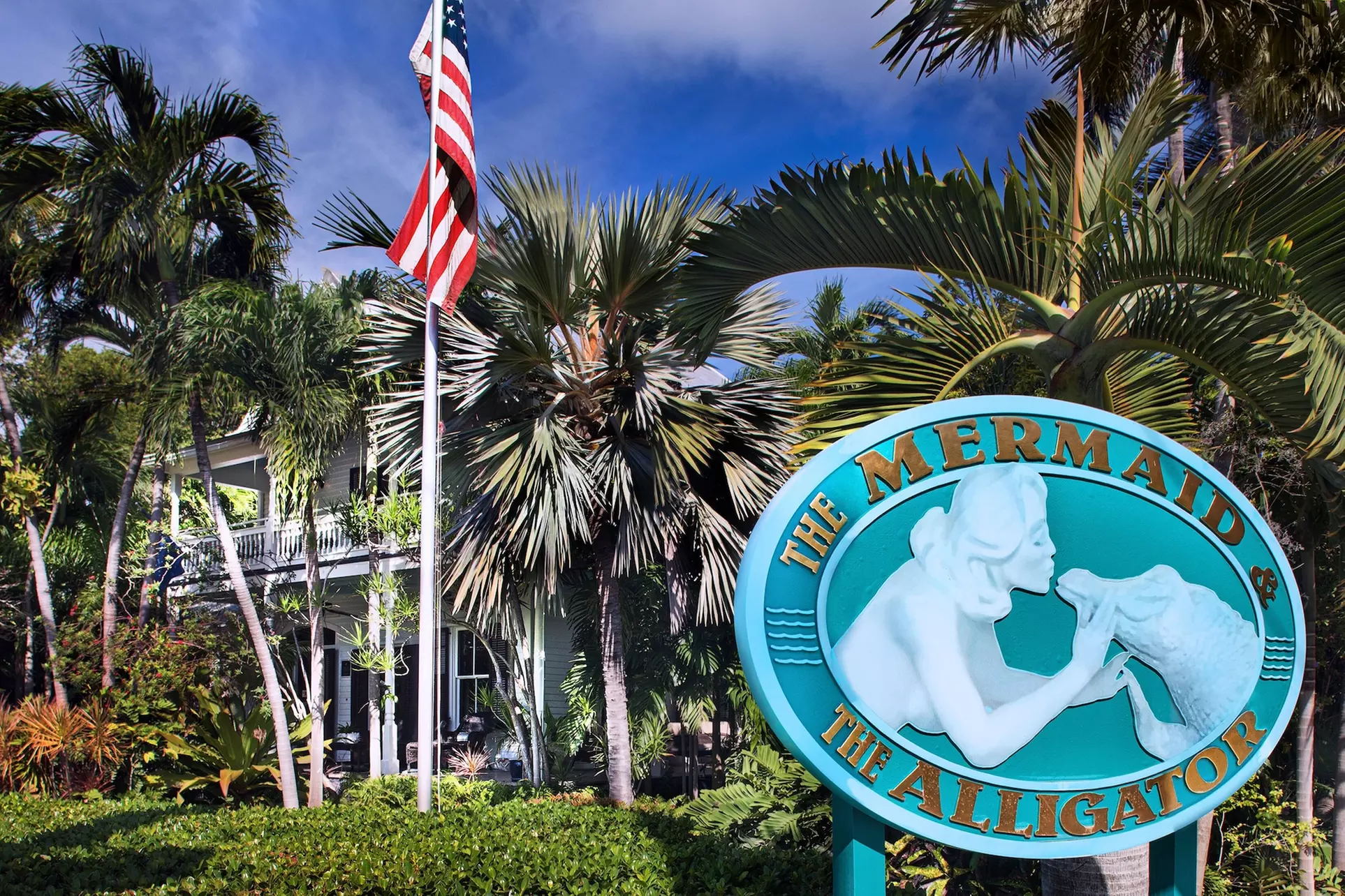 The Mermaid & Alligator - Primary Image