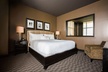 Hotel Zaza Houston Museum District - Second Medium