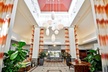 Hilton Garden Inn Tampa North Busch Gardens - Second Medium
